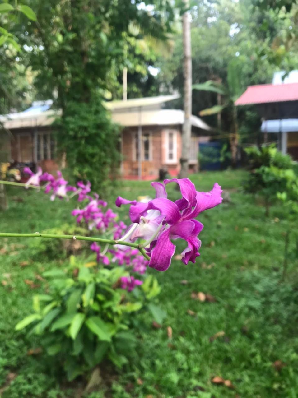 Ashtamudivillas Kollam Dış mekan fotoğraf